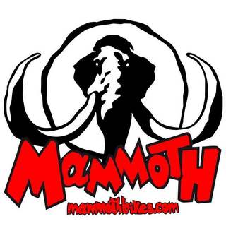 Código Descuento Mammoth Bikes 